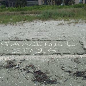 Meet your Posher, Kay